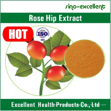 Rose Hip Extract Powder for Knee or Hip Osteoarthritis